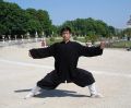 Taiji Quan du style Chen